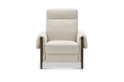 Fashion Dean Performance Fabric Recliner Armchair Armchairs And Accent Chairs