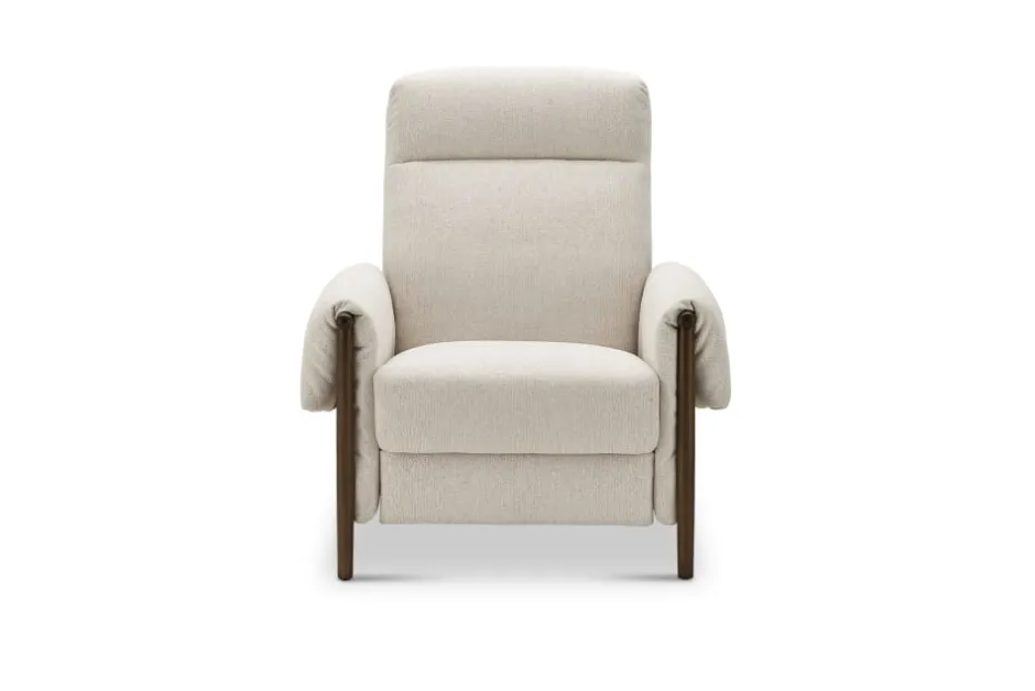 Fashion Dean Performance Fabric Recliner Armchair Armchairs And Accent Chairs