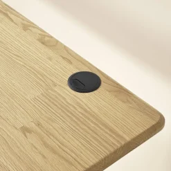 Clearance Emmerson Adjustable Standing Desk, Oak Desks